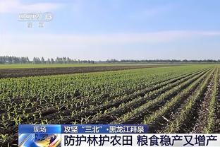 半岛电子官方网站下载手机版安卓截图4